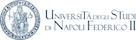 University of Naples Federico II