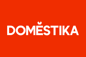 Domestika courses